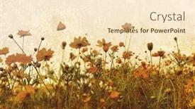  Presentation with old fashioned - Audience pleasing PPT theme consisting of old-fashioned flower backdrop and a cream colored foreground