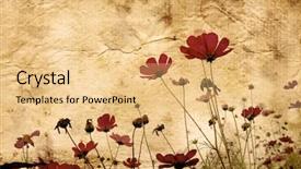  Presentation with old paper - PPT theme with old-flower-paper-textures-perfect background and a yellow colored foreground