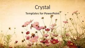  Presentation with perfect - Presentation theme having flower paper textures - perfect background background and a blonde colored foreground