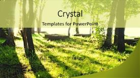  Presentation with mystic - Audience pleasing presentation theme consisting of old forest pagan graveyard backdrop and a yellow colored foreground