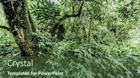  Presentation with old growth - Theme enhanced with old-growth-forest-in-nord background and a tawny brown colored foreground
