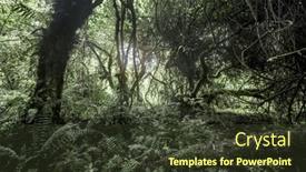  Presentation with old growth - Presentation theme featuring old-growth-forest-in-nord background and a tawny brown colored foreground
