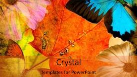  Presentation with old brown paper texture - Beautiful slides featuring old grunge butterfly paper texture backdrop and a gold colored foreground