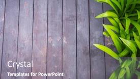  Presentation with old wood - Presentation design enhanced with old grunge wood with green leaves background and a gray colored foreground