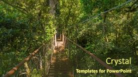  Presentation with jungle - Presentation design with old hanging bridge in the jungle of panama background and a tawny brown colored foreground