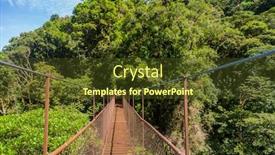  Presentation with jungle - PPT layouts having old-hanging-bridge background and a tawny brown colored foreground