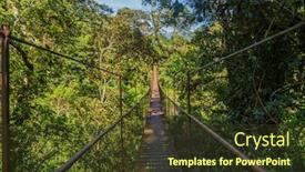  Presentation with jungle - Audience pleasing theme consisting of old-hanging-bridge backdrop and a tawny brown colored foreground