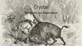  Presentation with tour - Presentation theme having old illustration of a bull background and a  colored foreground