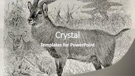  Presentation with uganda - Colorful PPT layouts enhanced with old illustration of a waterbuck - kobus ellipsiprymnus - in uganda created by wolff published on le tour du monde paris 1864 backdrop and a gray colored foreground
