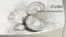  Presentation with oyster - Presentation having old illustration of an oyster background and a  colored foreground