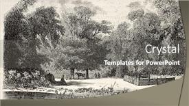  Presentation with journal - Audience pleasing theme consisting of old-illustration-of-astroni-royal backdrop and a gray colored foreground