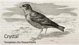  Presentation with paris - Cool new theme with old illustration of desert lark backdrop and a soft green colored foreground