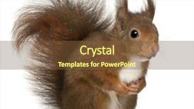  Presentation with lines red and white - Amazing theme having old in front of white backdrop and a tawny brown colored foreground