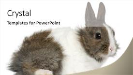  Presentation with old young - Theme featuring old in front of white background and a  colored foreground