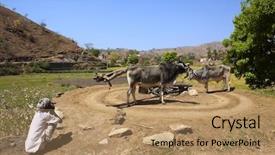  Presentation with old india - PPT theme consisting of old indian man farmer smoking background and a coral colored foreground