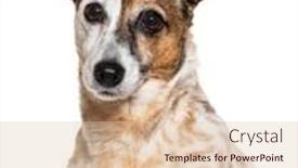  Presentation with russell - 