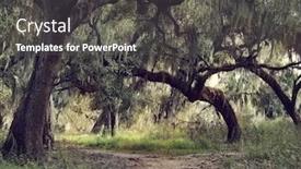  Presentation with live - Presentation featuring old live oak trees background and a dark gray colored foreground