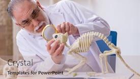  Presentation with lab animals - Amazing PPT theme having old-male-paleontologist-examining-ancient backdrop and a coral colored foreground