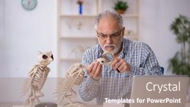  Presentation with lab animals - Slide deck enhanced with old-male-paleontologist-examining-ancient background and a gray colored foreground