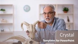  Presentation with lab animals - PPT theme having old-male-paleontologist-examining-ancient background and a gray colored foreground