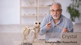  Presentation with lab animals - PPT theme enhanced with old-male-paleontologist-examining-ancient background and a coral colored foreground