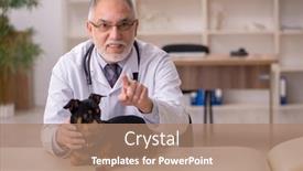  Presentation with old dog - Colorful theme enhanced with old-male-vet-doctor-examining backdrop and a coral colored foreground