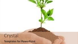  Presentation with old man - Amazing PPT layouts having gods love flowers - old man hands and plant backdrop and a coral colored foreground