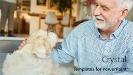  Presentation with old dog - PPT theme with old-man-stroking-his-retriever background and a light blue colored foreground