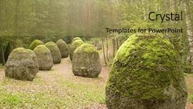  Presentation with old wood - Amazing presentation theme having old mossy stone in wood backdrop and a yellow colored foreground