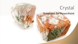  Presentation with bread - Cool new PPT layouts with old-musty-bread-isolated backdrop and a white colored foreground