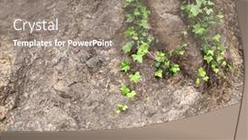  Presentation with green nature - PPT theme having old-natural-stone-wall background and a gray colored foreground