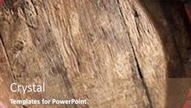  Presentation with oak barrel - Colorful slide set enhanced with old-oak-wine-barrel backdrop and a coral colored foreground