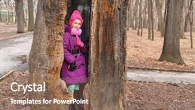  Presentation with old man - Beautiful theme featuring old oak with hollow which backdrop and a violet colored foreground