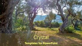  Presentation with olive trees - Presentation design having old-olive-trees background and a tawny brown colored foreground