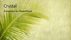  Presentation with old paper - Amazing PPT theme having old paper background with palm backdrop and a  colored foreground