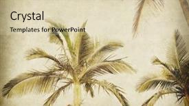  Presentation with old paper and ink - Audience pleasing slide deck consisting of old paper background with palm backdrop and a  colored foreground