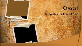  Presentation with animal photos - PPT theme featuring old paper old themes - two blank photos background and a  colored foreground