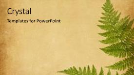  Presentation with green paper texture - Audience pleasing slide deck consisting of old paper texture with two green leaves of fern backdrop and a yellow colored foreground