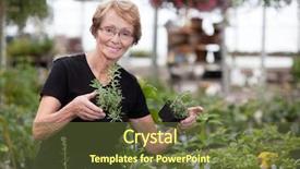 Presentation with transgenic plants - Beautiful PPT theme featuring old people house - happy senior woman holding small backdrop and a  colored foreground