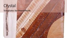  Presentation with old album - Presentation featuring old photo album background and a coral colored foreground