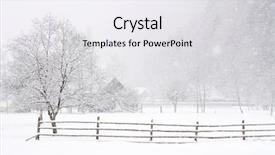  Presentation with winter landscape winter tree - Colorful slides enhanced with old pictures - winter snowing landscape backdrop and a white colored foreground