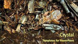  Presentation with pine - Slides consisting of old pine cortex abstract natural background and a tawny brown colored foreground