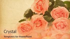  Presentation with floral - Beautiful PPT layouts featuring old pink - floral background with space backdrop and a coral colored foreground