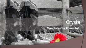  Presentation with daisy - Slide set enhanced with old rocker by cowboy boots background and a gray colored foreground