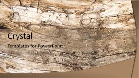  Presentation with wood-texture - Presentation theme enhanced with old rotten wood texture or backgound background and a coral colored foreground