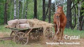  Presentation with russian - Colorful theme enhanced with old russian horse cart backdrop and a violet colored foreground