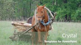  Presentation with russian - PPT theme having old russian horse cart background and a mint green colored foreground