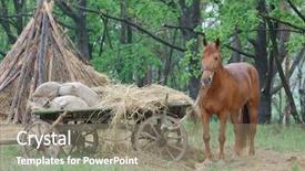  Presentation with russian - Presentation theme consisting of old russian horse cart background and a gray colored foreground