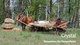  Presentation with russian - Beautiful presentation theme featuring old russian horse cart backdrop and a seafoam green colored foreground