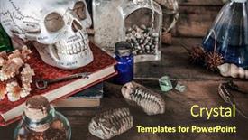  Presentation with life science - Presentation theme consisting of still life of a skull background and a tawny brown colored foreground